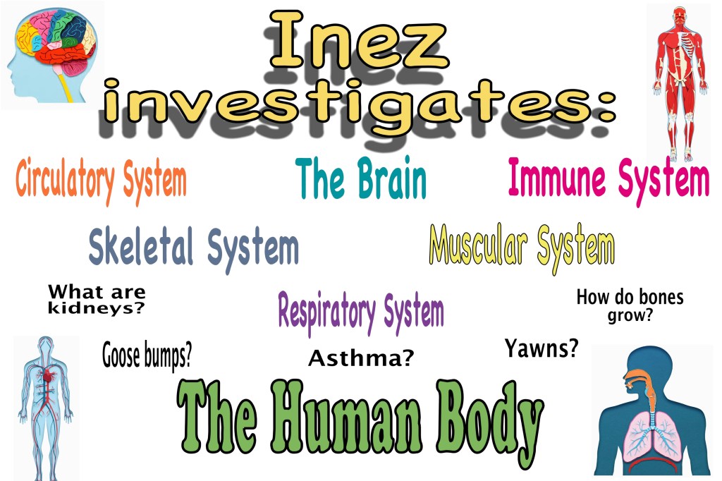 Inez Investigates…